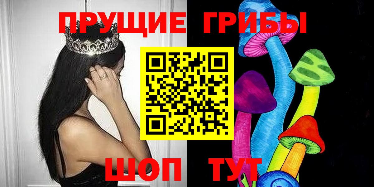 Новошахтинск  Галлюциногенные грибы прущие грибы  Вход с VPN 