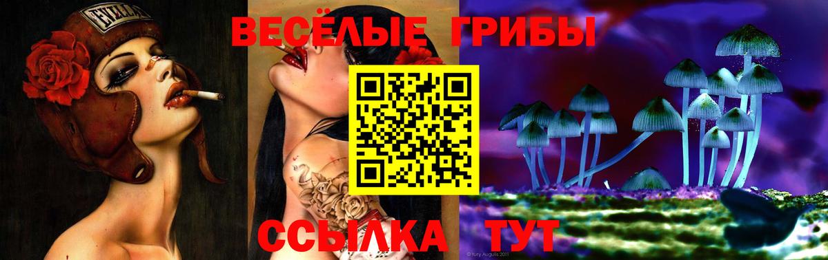 Псилоцибиновые грибы ЛСД Новошахтинск